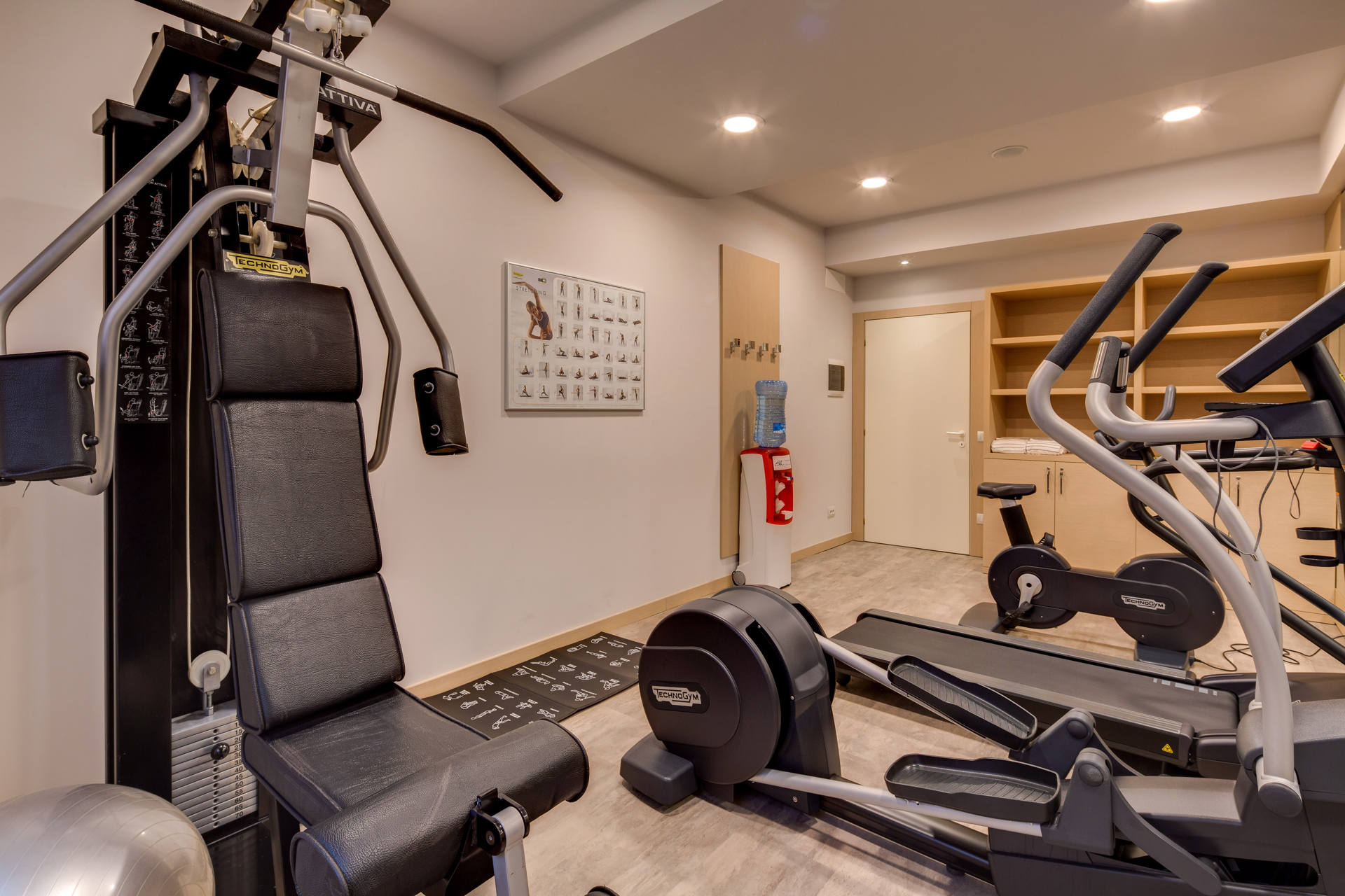 ROM – PALESTRA (2)